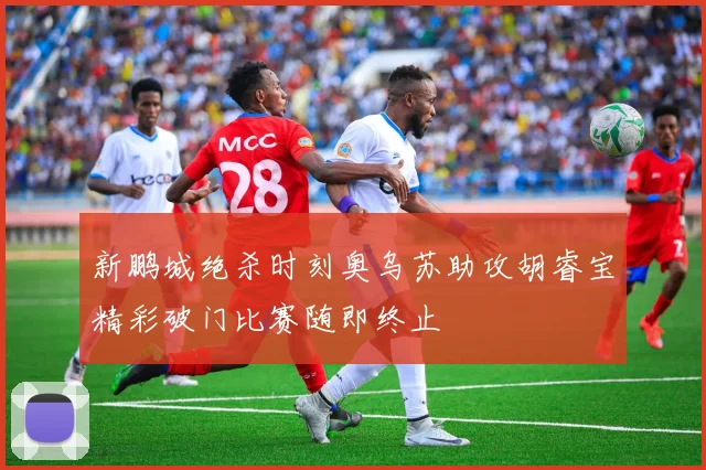 新鹏城绝杀时刻奥乌苏助攻胡睿宝精彩破门比赛随即终止