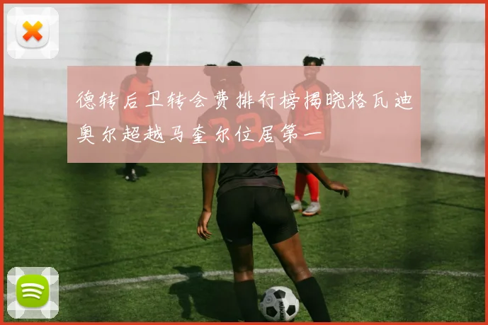 德转后卫转会费排行榜揭晓格瓦迪奥尔超越马奎尔位居第一